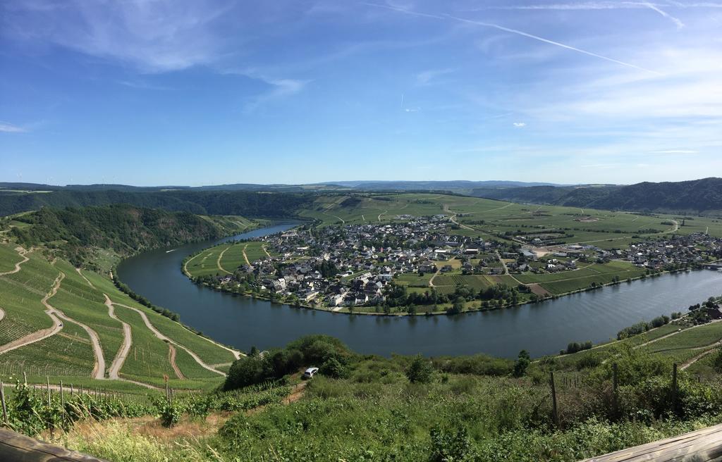Moselromantik-Hotel Zum Loewen Ediger-Eller Exteriör bild